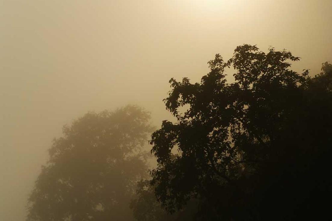 Reiciendis officia sequi dolor voluptate necessitatibus sit ad dolore sit aperiam atque